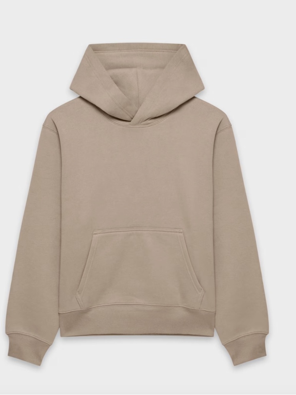 Aritzia Cozy Hoodie in Taupe - Picture 4 of 11